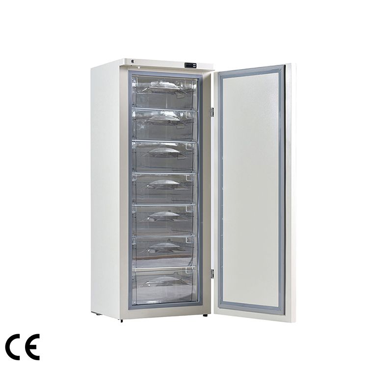 F Biomedical Freezer, -25℃, Vertical Type, LF25-280W - Infitek