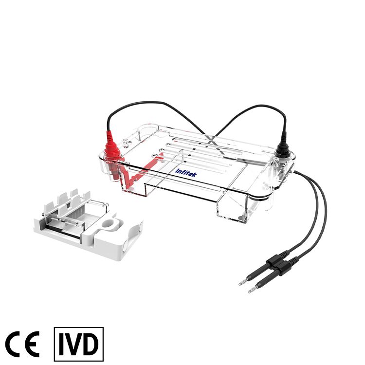 GEP-HH-SUB01 Horizontal Electrophoresis Cell
