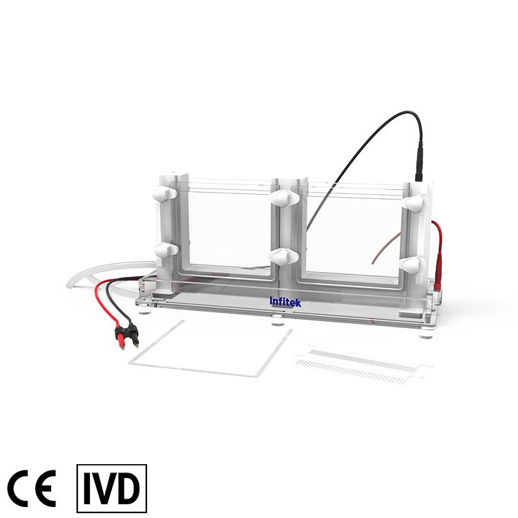 GEP-VH-SCZ03 Vertical Electrophoresis Cell