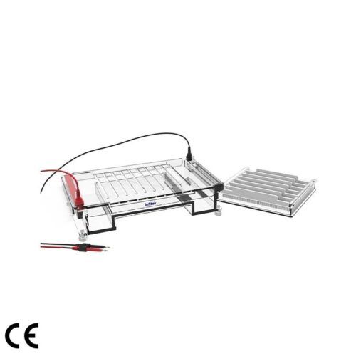 Horizontal Electrophoresis Cell, GEP-HH-SUB04