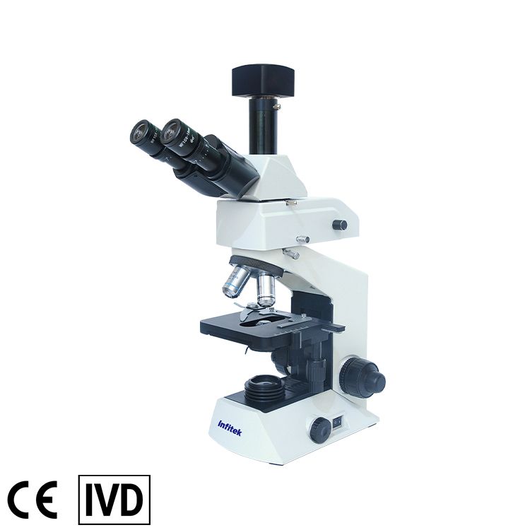 Fluorescence Microscope