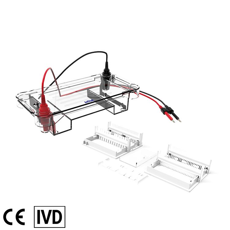 Electrophoresis Tank