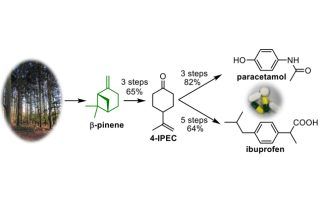 laboratory news