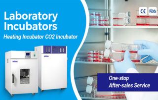 Exploring the Wonders of Laboratory Incubators