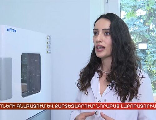 Why Did Armenia’s National-Level Strategic Project Choose Infitek?