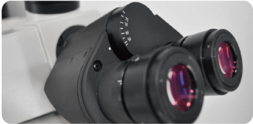 MSC-F43N Fluorescence Microscope