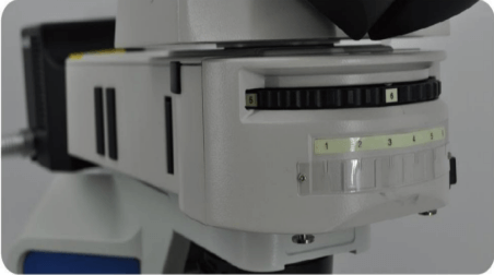 MSC-F43N Fluorescence Microscope