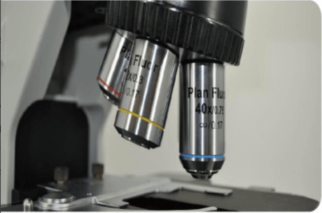 MSC-F43N Fluorescence Microscope