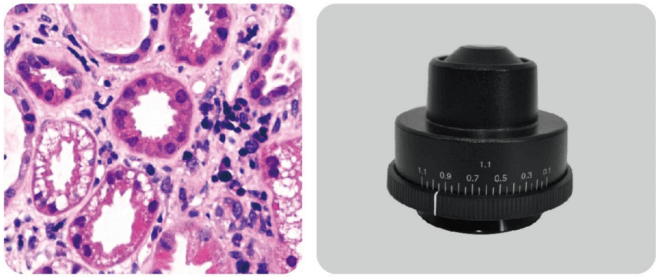 MSC-F43N Fluorescence Microscope