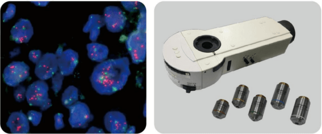 MSC-F43N Fluorescence Microscope
