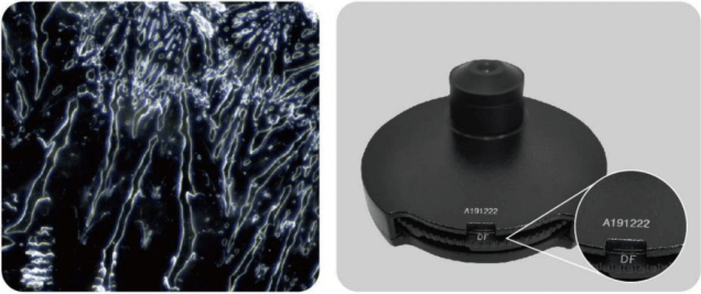 MSC-F43N Fluorescence Microscope